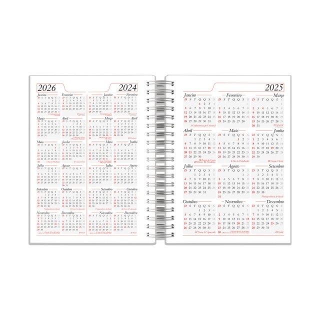 Agenda Diária 2025 Lisa Wire-o 14,5x20cm Promocional