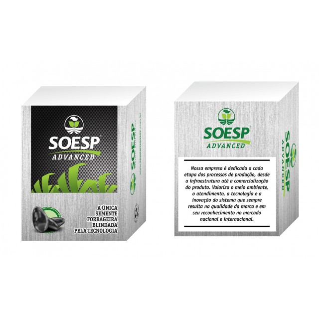 Bloco de Anotação Sementes 7x5x9cm Personalizado Bloco de Anotação Sementes 7x5x9cm Personalizado