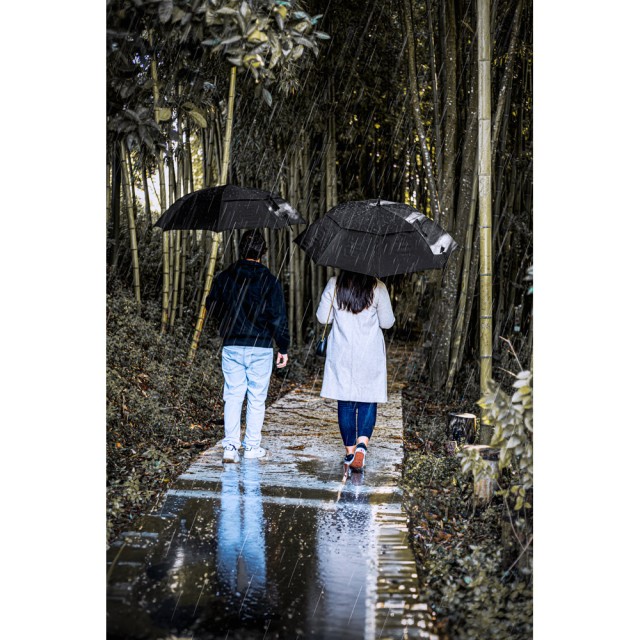 Guarda-chuva de 27.5'' em Poliéster Reciclado Gavin Personalizado 99091