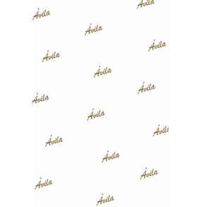 Papel de Seda Personalizado para Presentes